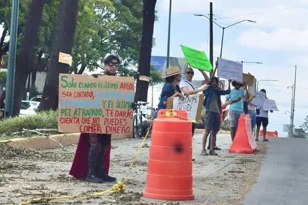 Sigue tala de árboles en Xalapa; pese a reclamos, van por los del Mercado Los Sauces