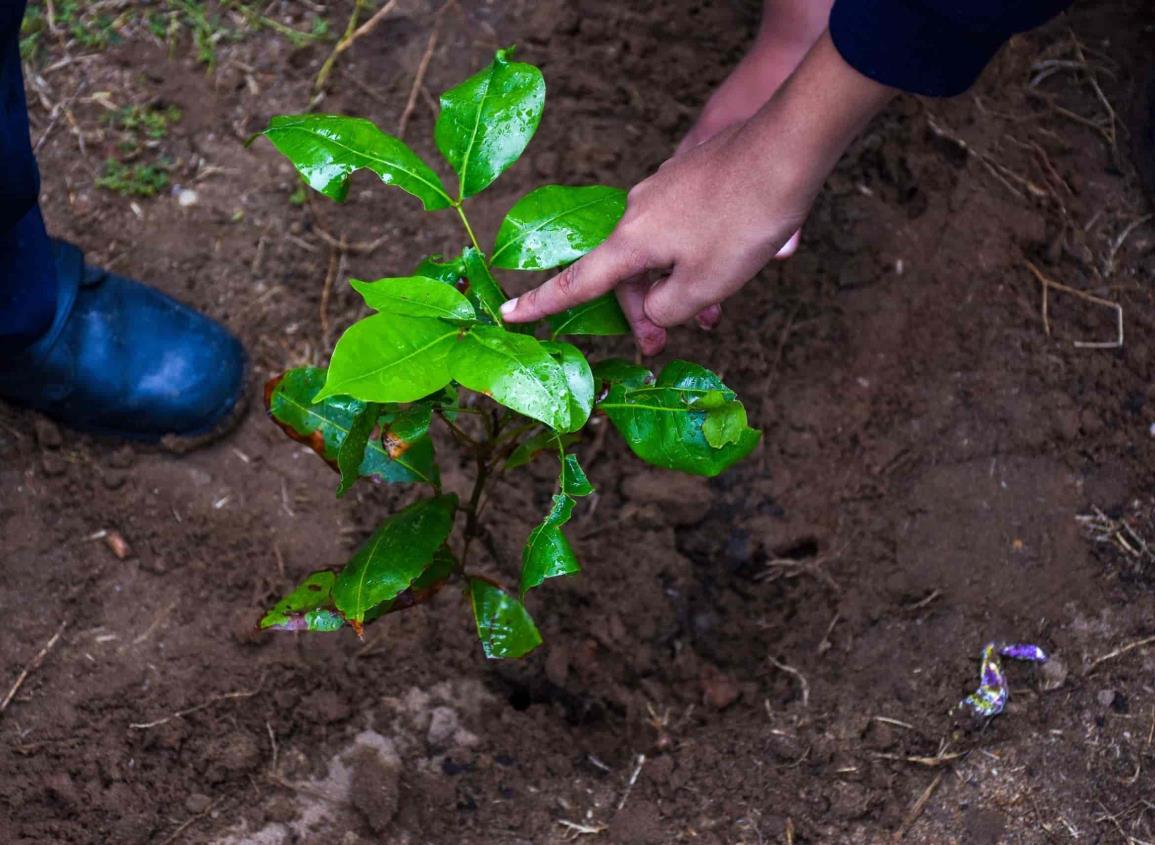 Conmemoran el Día Mundial de la Tierra con actividades educativas