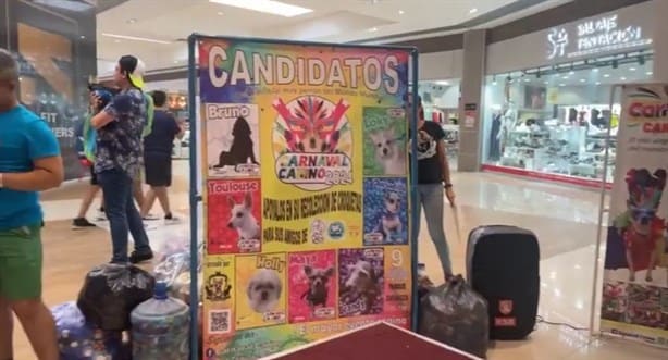 Estos son los candidatos a reyes del Carnaval Canino de Veracruz 