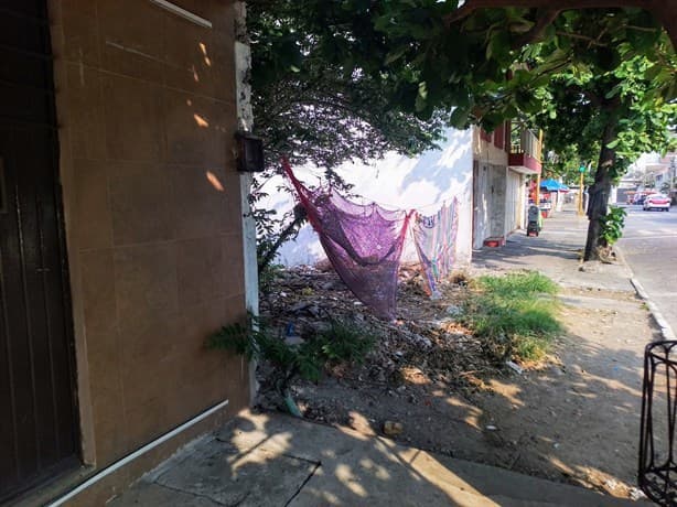 Personas en situación de calle se apropian de terrenos baldíos en Veracruz