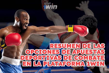 Resumen de las opciones de apuestas deportivas de combate en la plataforma 1Win