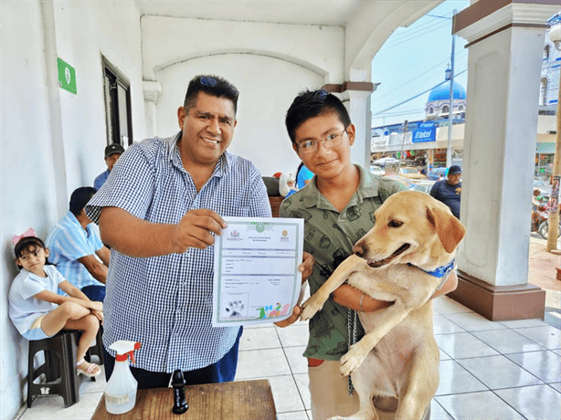 Catemaco celebra el Día del Niño con registro de mascotas: Un evento familiar y gratuito