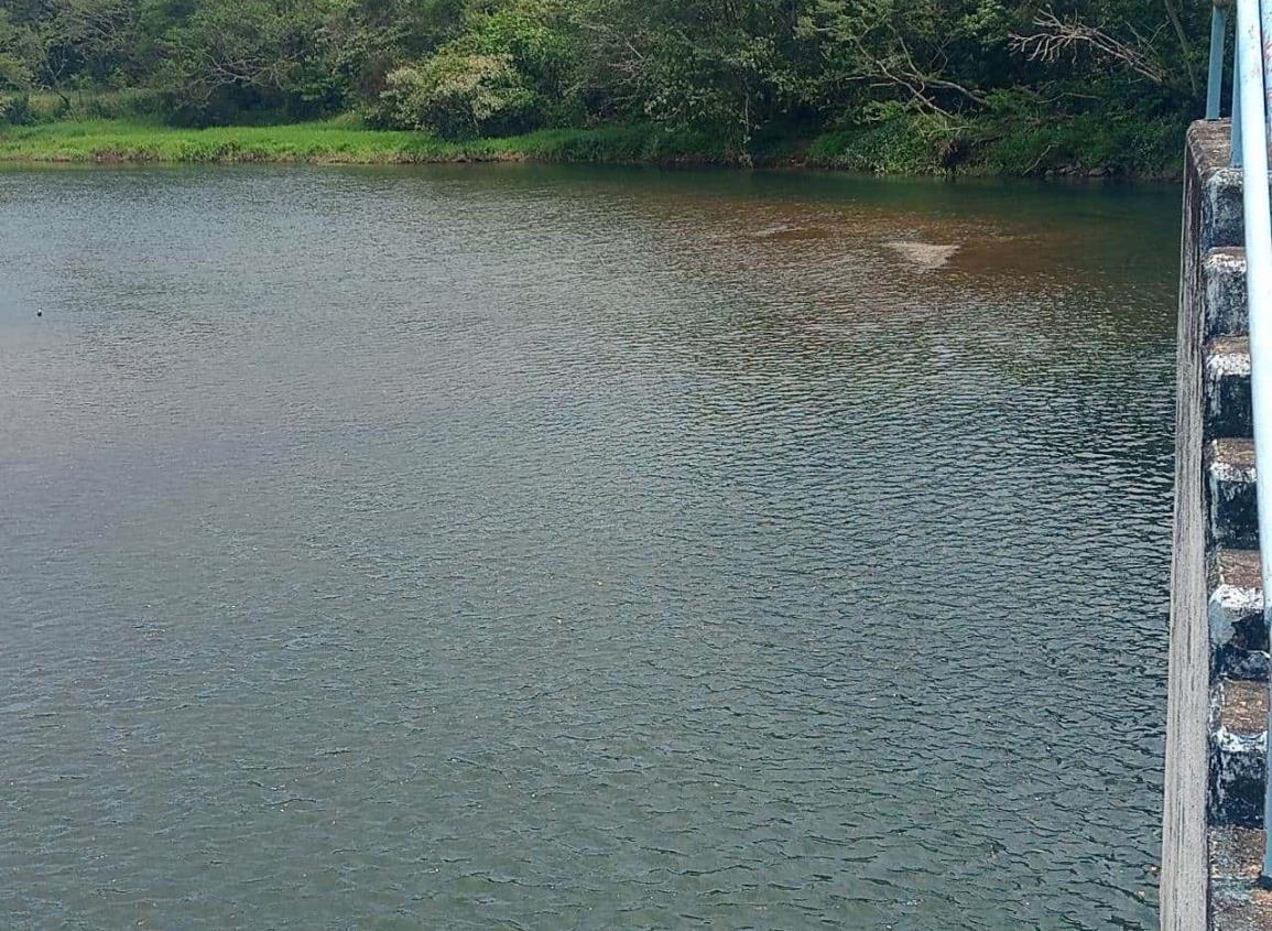 Alarma nivel de presa Yurivia, casi 30 colonias afectadas en Coatzacoalcos | VIDEO