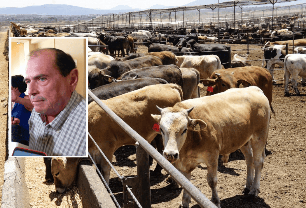 En riesgo la exportación de ganado a Estados Unidos: Oswaldo Cházaro