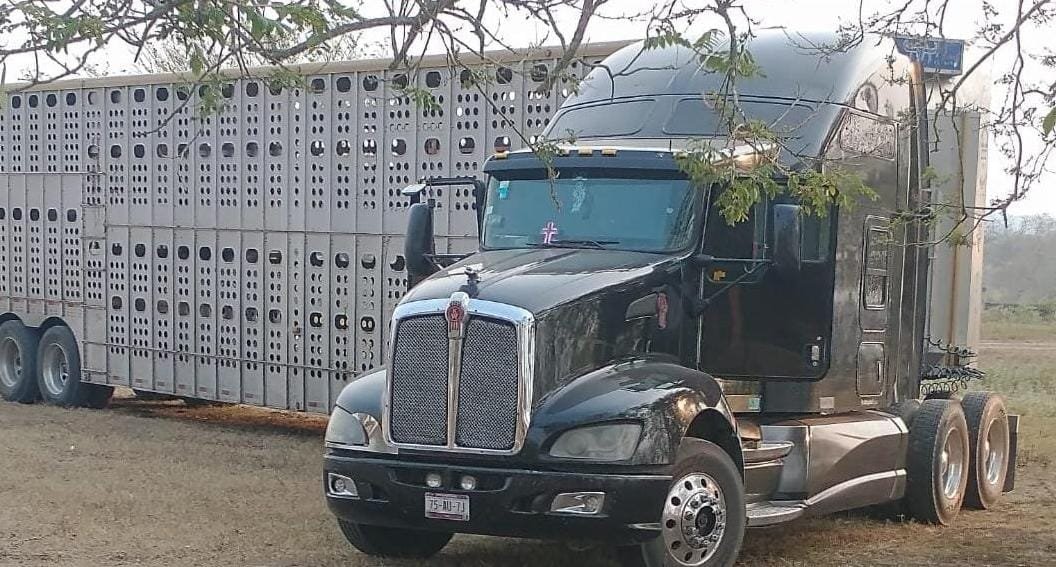 Código Rojo en Tuxpan: Grupo armado acribilla a conductor de tráiler en rancho