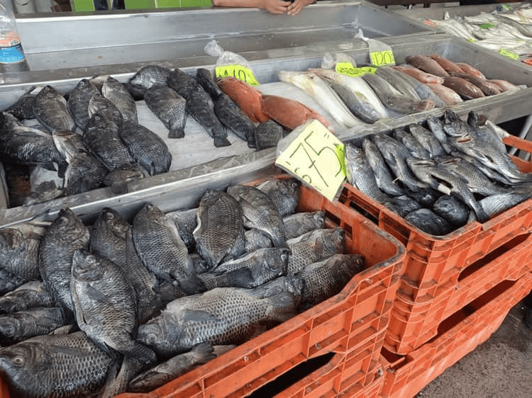 Trabajadores del mar invitan a aprovechar los bajos precios en el Mercado de Pescadería