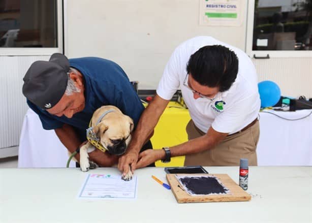 Sorpréndete, estos animalitos llevaron veracruzanos al registro de mascotas