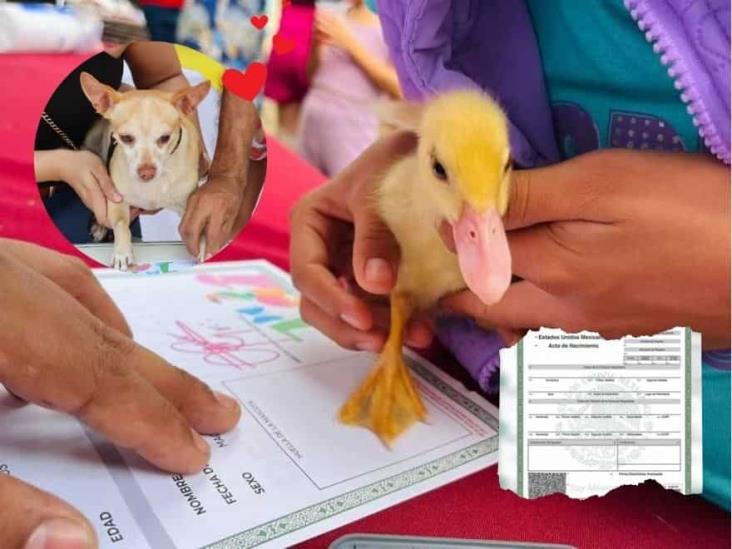 Sorpréndete, estos animalitos llevaron veracruzanos al registro de mascotas