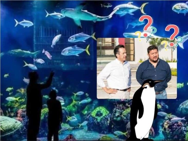 Desaparecen especies en Aquarium de Veracruz con Cuitláhuac, acusan; esto dice Gobernador