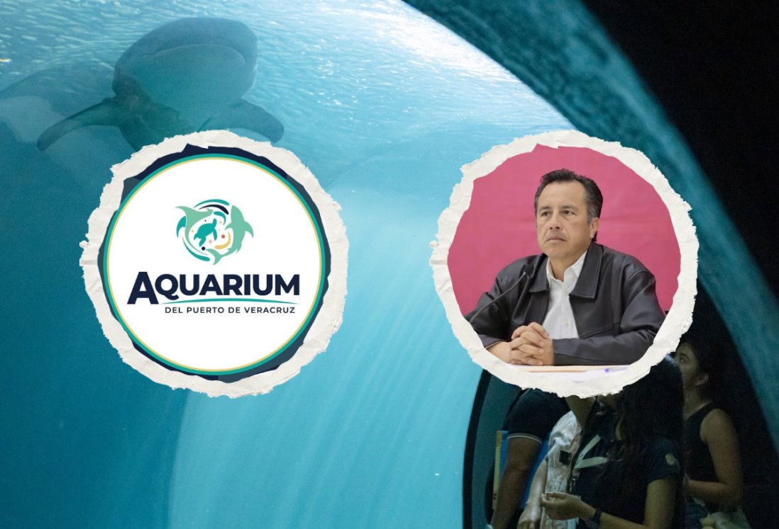 Exhiben desaparición de peces en Aquarium de Veracruz; es un montaje, dice Cuitláhuac García