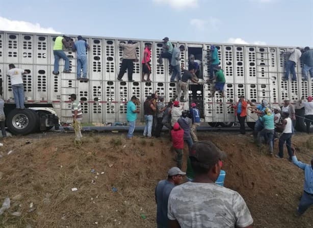 Veracruz, bajo asedio por robo de ganado en camiones