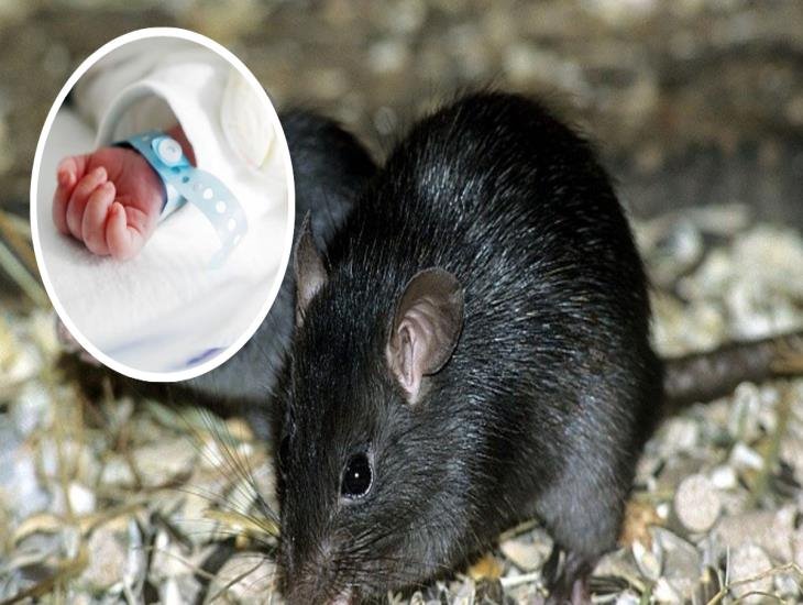 Bebé de Huatusco lucha por su vida tras ingerir veneno para ratas