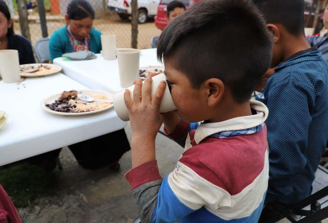 Alimentación sana en niños previene enfermedades y ayuda a desarrollo emocional