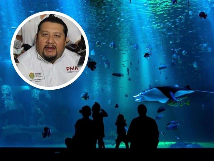 “No se han perdido especies en el Aquarium de Veracruz”: Sergio Rodríguez