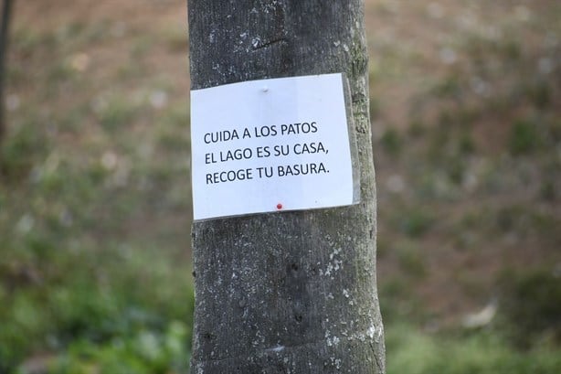 ¡Crece contaminación en lago de Las Ánimas y La Señoría!