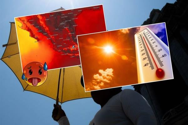 Ola de calor en Veracruz: estos serán los días con mayor temperatura ¡atención! 