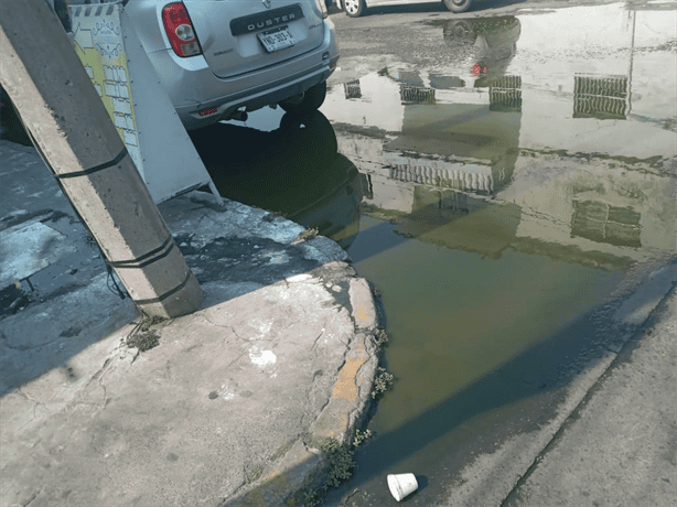 Vecinos del barrio de San Sebastián denuncian presencia de aguas verdes y fétidas