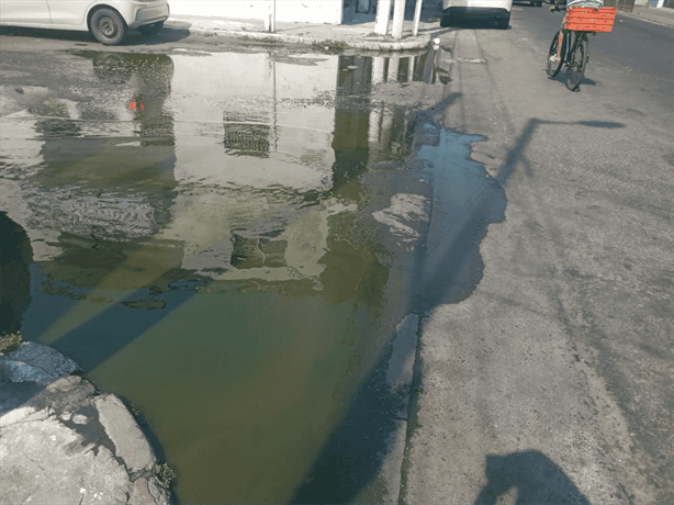 Vecinos del barrio de San Sebastián denuncian presencia de aguas verdes y fétidas