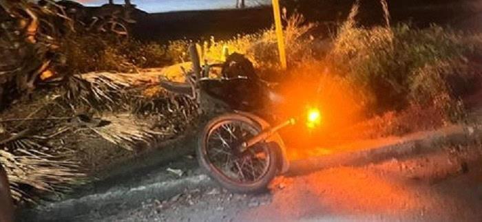 Motociclista se estrella contra palmera y queda inconsciente, en Tierra Blanca