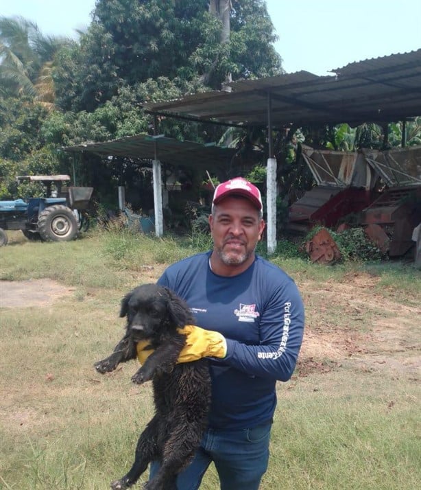 Rescatan a perro de un hoyo en Úrsulo Galván
