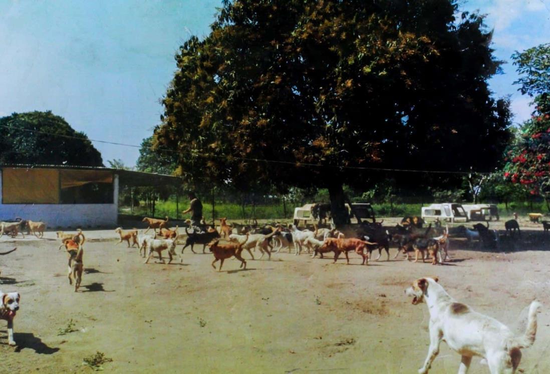 Bloquean el paso al refugio La Roca y ponen en riesgo a animales rescatados en Veracruz