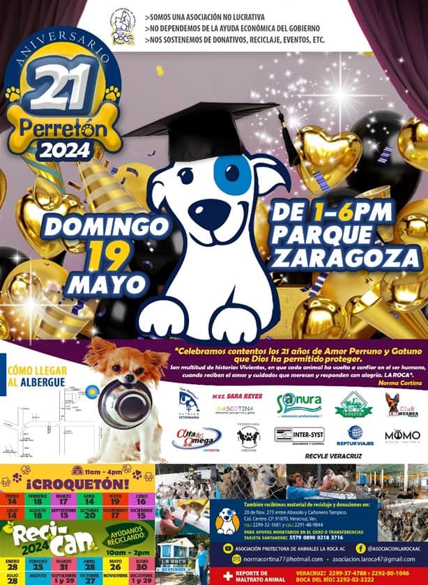 Invitan a ayudar a perros y gatos sin hogar de Veracruz el próximo 19 de mayo