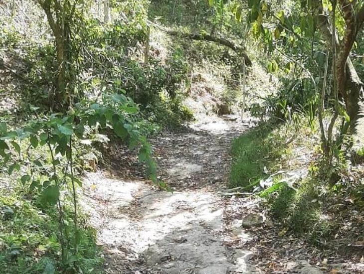 Sayula de Alemán se podría quedar sin agua; acueducto El Remolino en estado de emergencia | VIDEO