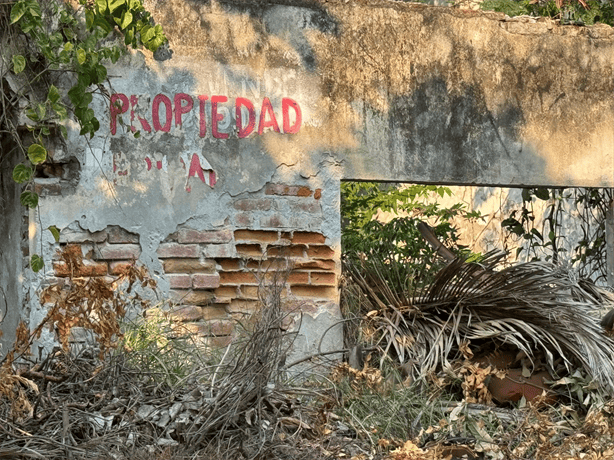 Denuncian terreno baldío convertido en basurero en Calle Pino Suárez en la zona Centro de Veracruz