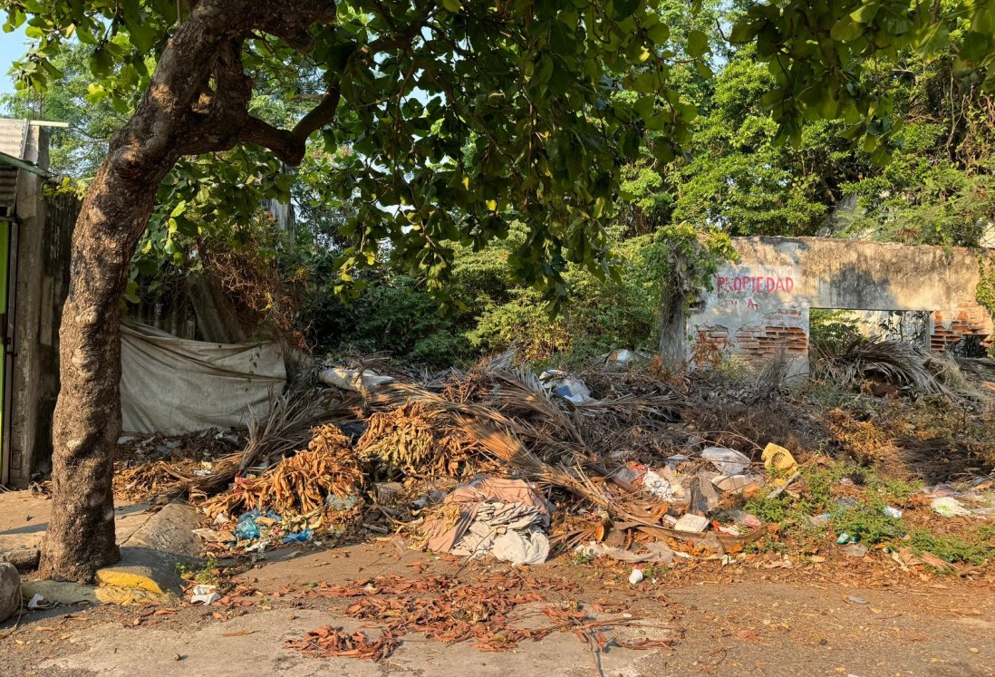 Denuncian terreno baldío convertido en basurero en Calle Pino Suárez en la zona Centro de Veracruz