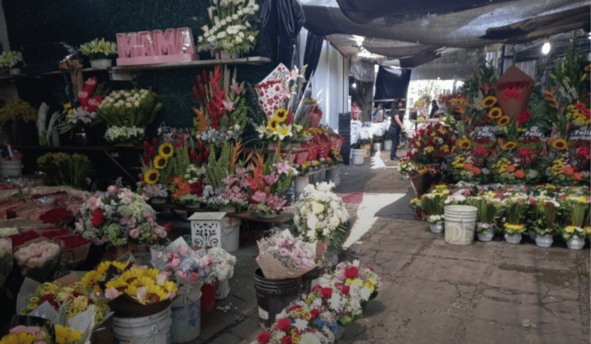 Comerciantes de flores en Veracruz esperan repunte de ventas este Día de las Madres