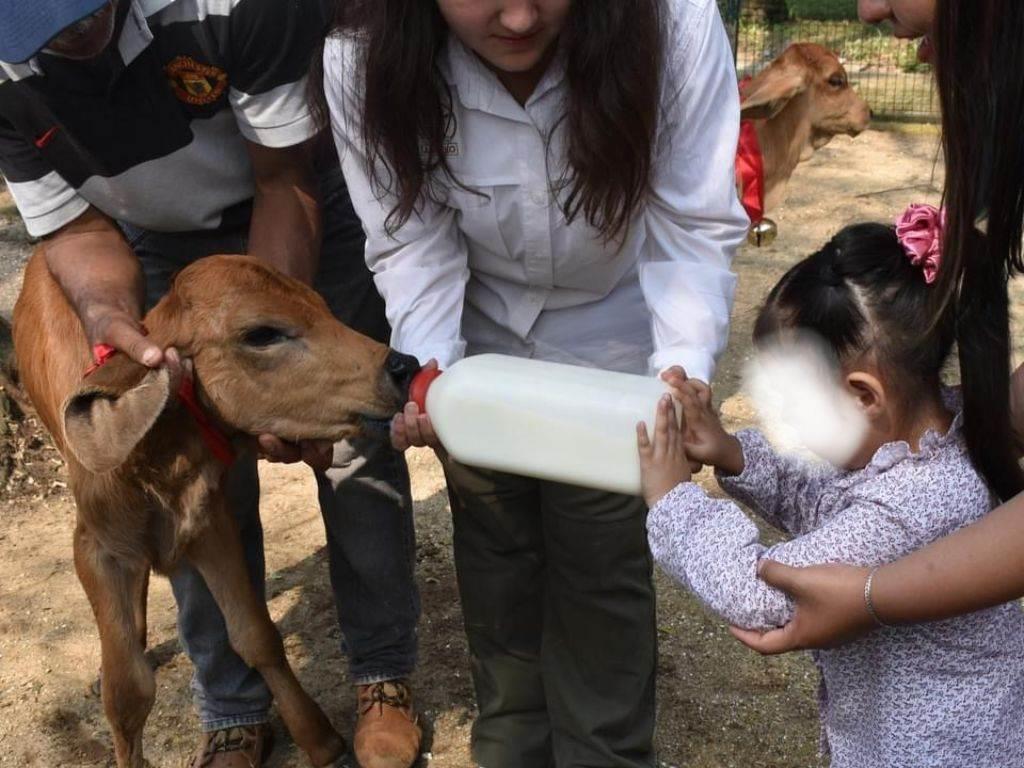 Conoce esta granja infantil de Coatzacoalcos para pasarla en familia; ¿Dónde se ubica?