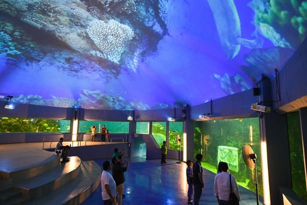 Así es la nueva área del Aquarium de Veracruz que tendrá nuevas especies