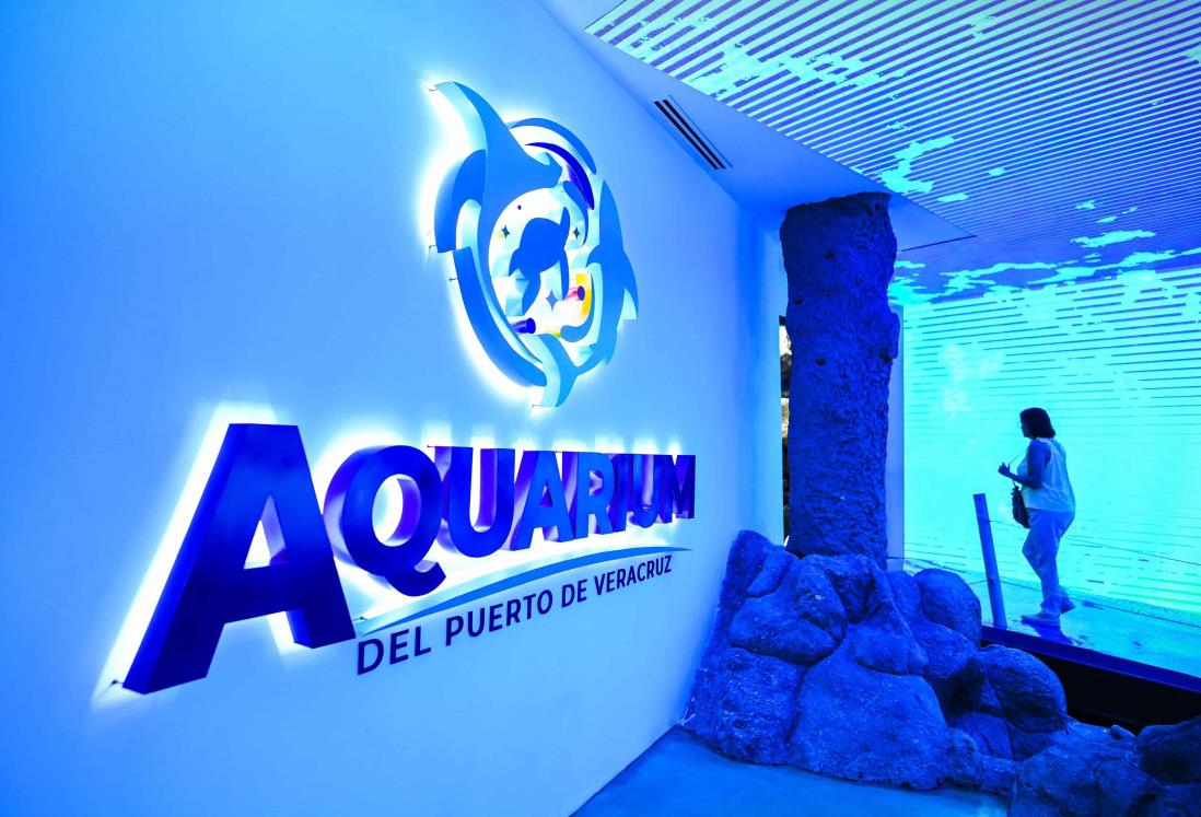 Remodelación del Aquarium de Veracruz quedará concluida en noviembre; habrá nuevas especies