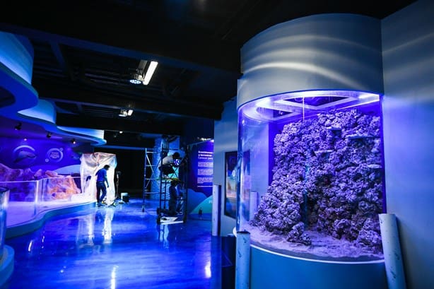 Así es la nueva área del Aquarium de Veracruz que tendrá nuevas especies