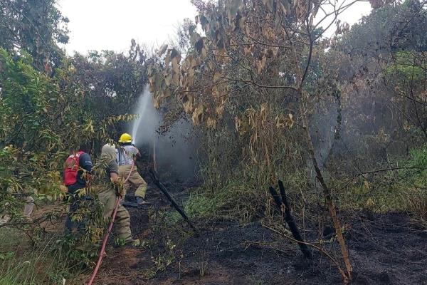 Logran controlar incendio forestal en Yecuatla