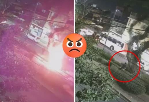 Sujeto prende fuego a árbol en la avenida Orizaba; vecinos exigen detención (+Video)