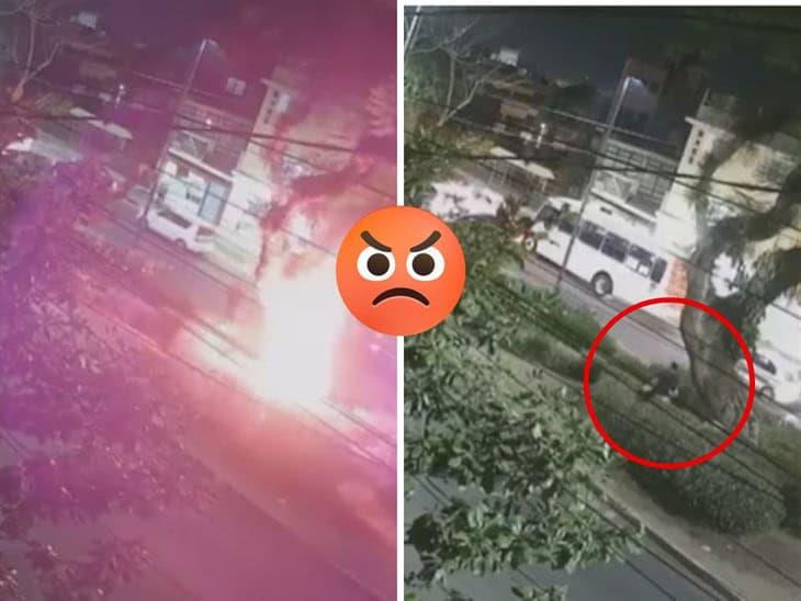 Sujeto prende fuego a árbol en la avenida Orizaba; vecinos exigen detención (+Video)