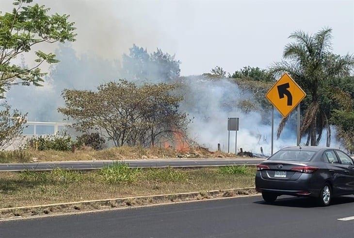 Se registra incendio de maleza en la carretera federal Xalapa-Veracruz