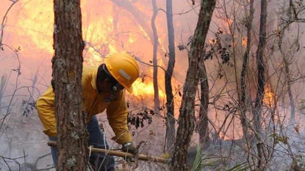 ¿Cuántos de los incendios forestales de 2024 fueron provocados? Esto sabemos