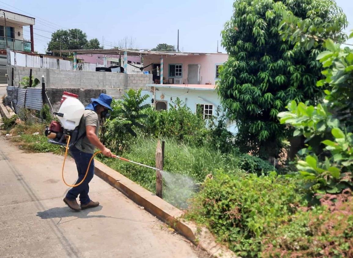 Ante posibles casos positivos de dengue; fumigan casas y patios en Agua Dulce