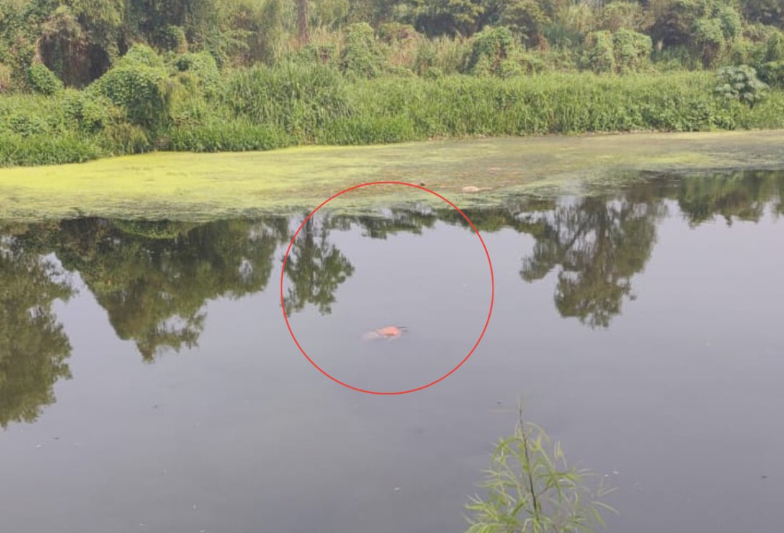 Reportan el hallazgo de una persona ahogada en el río Cazones, Veracruz