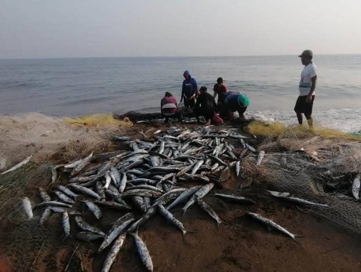 Abundante pesca en Coatzacoalcos este 13 de mayo; ¿qué especies capturaron? | VIDEO