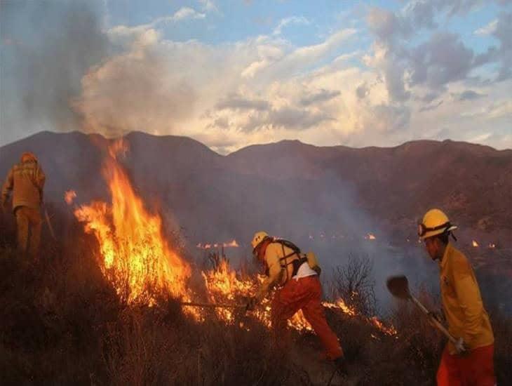 ¿Cuántos de los incendios forestales de 2024 fueron provocados? Esto sabemos