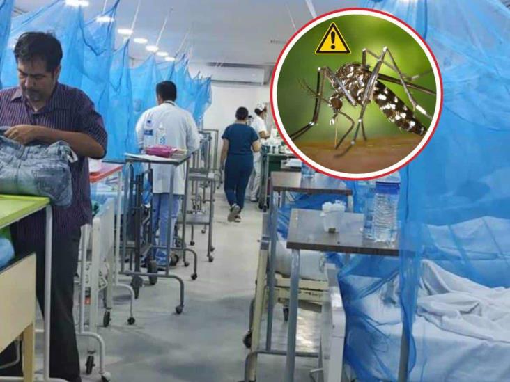 ¡Cuidado! Aumentan muertes por dengue en México; estos son los estados más afectados