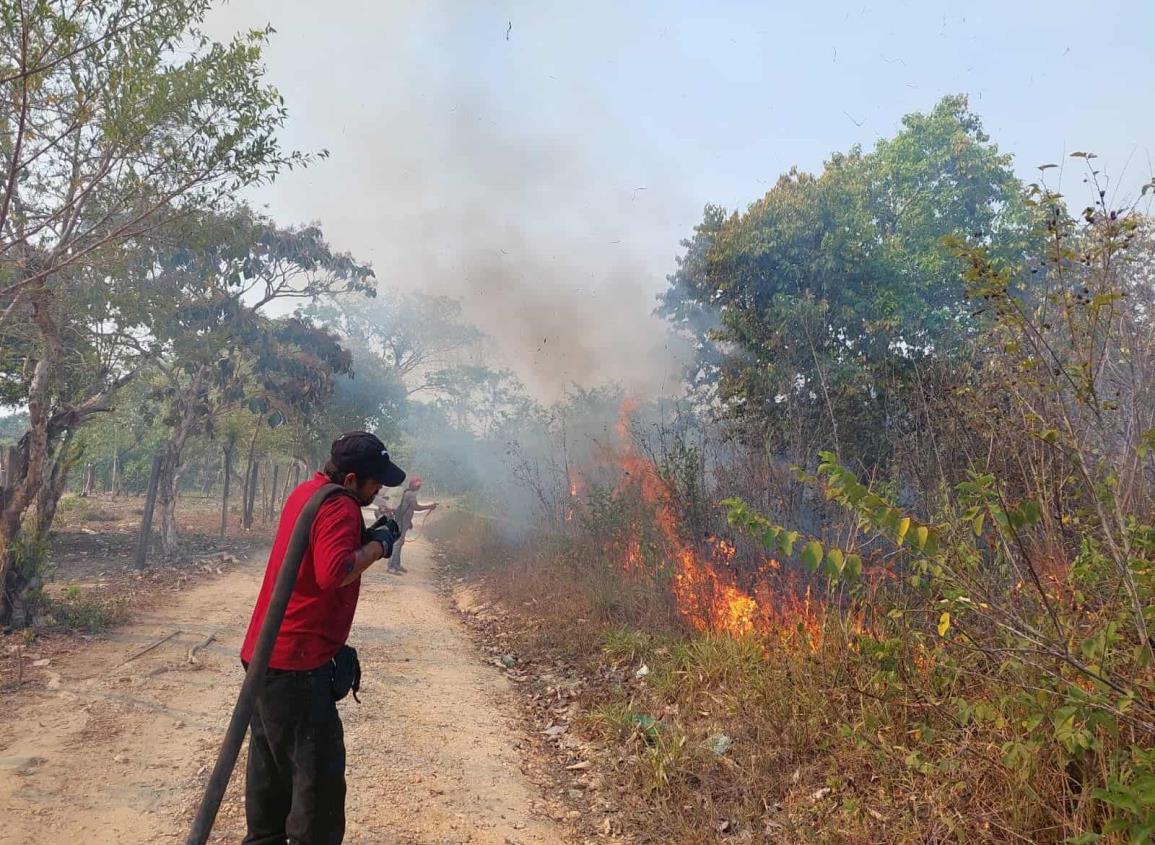 Choapenses siguen provocando incendios; PC atiende hasta tres al día | VIDEO