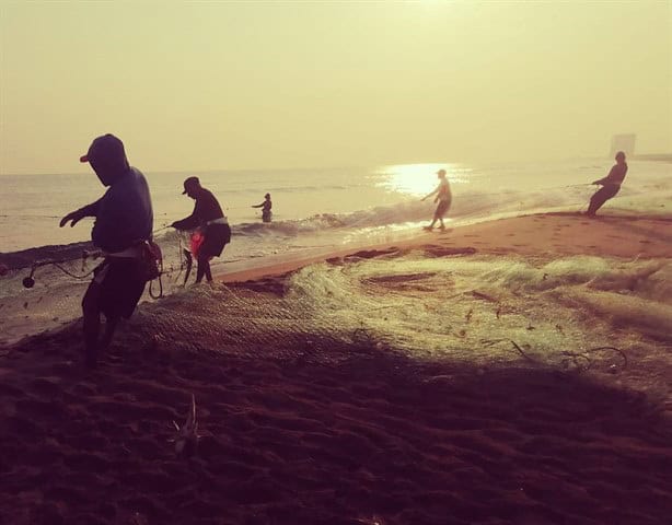 Abundante pesca en Coatzacoalcos este 13 de mayo; ¿qué especies capturaron? | VIDEO