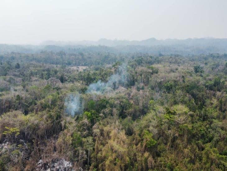 Actualmente se combaten 4 incendios forestales en Veracruz