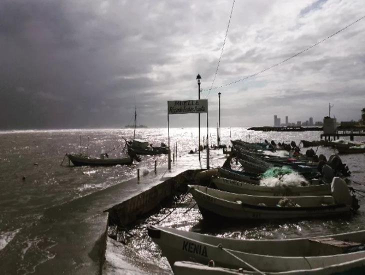 Pescadores de Veracruz ven un año complicado por baja producción