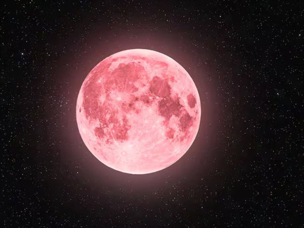 Luna de Flores 2024: ¿qué es y cuándo ver este fenómeno astronómico? 