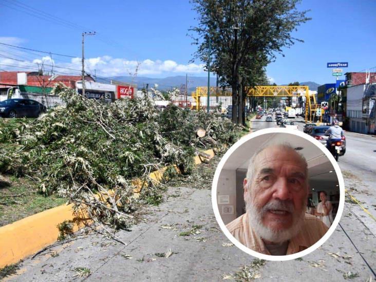 Tala ha contribuido al aumento de 5 grados de temperatura en Xalapa: ambientalista